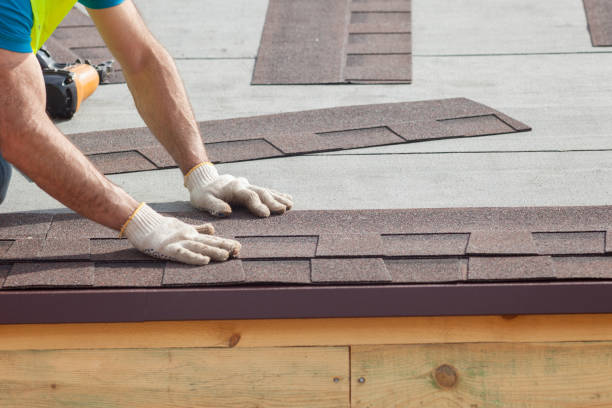 Best Roof Leak Repair  in Easton, PA