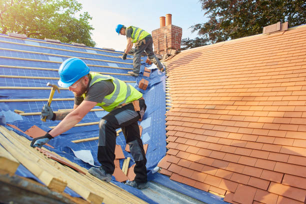 Best Roofing for New Construction  in Easton, PA